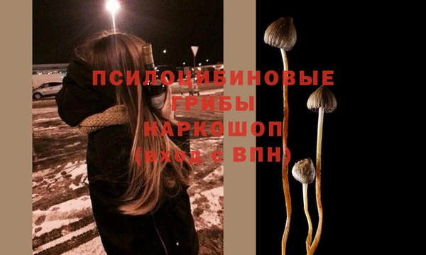 PSILOCYBIN Кукмор