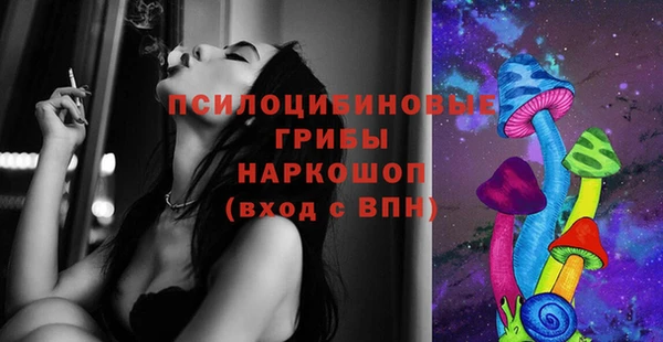 крисы Ладушкин