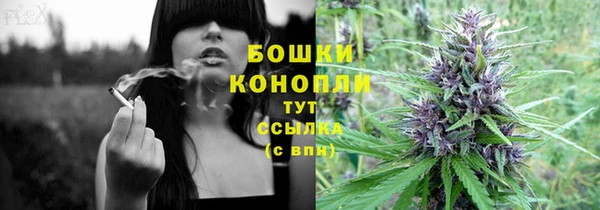 PSILOCYBIN Кукмор
